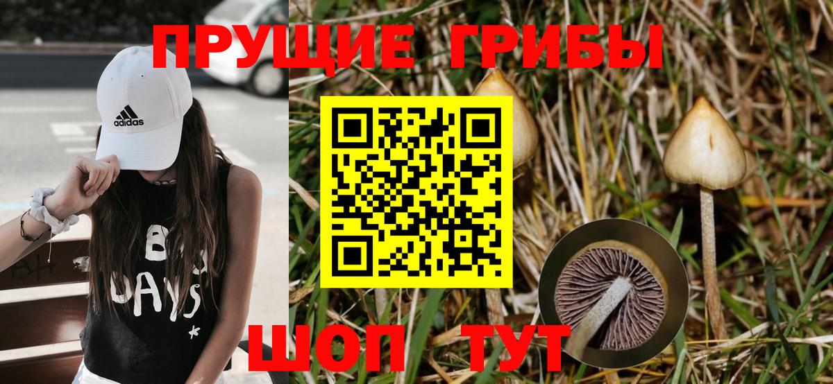Псилоцибиновые грибы мухоморы Ухта